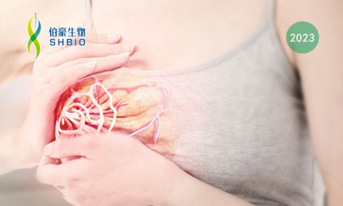 文獻解讀 | 結合單細胞和空間轉錄組揭示乳腺癌傳播過程中的代謝演變