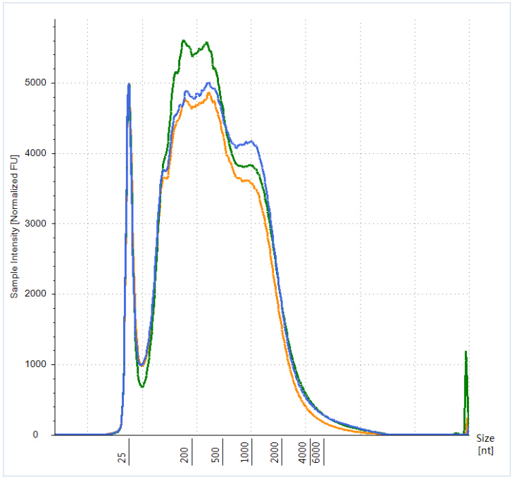 安捷倫 4200 檢測結(jié)果圖譜