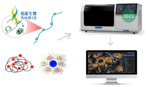 2023 年空間組學技術再獲殊榮 | 伯豪生物再添空間組學研究利器——Xenium 亞細胞空間原位分析技術！
