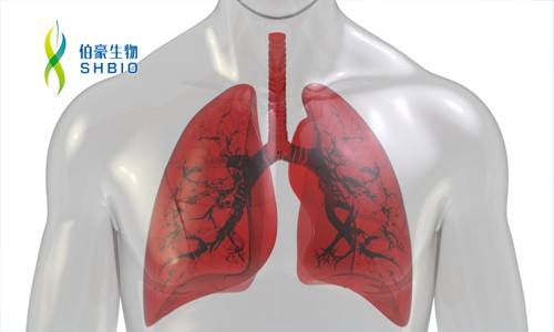 文獻解讀 | 單細胞 RNA-seq 揭示特發性肺纖維化中異位和異常的肺駐留細胞群