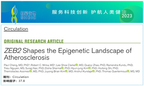 文獻解讀 |scRNA-seq 聯合 scATAC-seq 解析 ZEB2 調控動脈粥樣硬化表觀遺傳景觀
