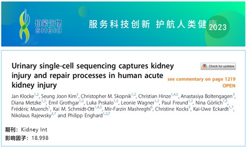 文獻解讀 | 尿 scRNA-seq 捕獲人類急性腎損傷的腎損傷和修復過程