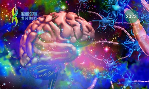 里程碑 | Science 系列 21 篇論文齊發，共繪最新最全“腦細胞圖譜”