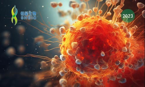 文獻解讀 | 血管周圍的三級淋巴樣結構中干細胞樣 CD4+ T 細胞在自身免疫性血管炎中的作用