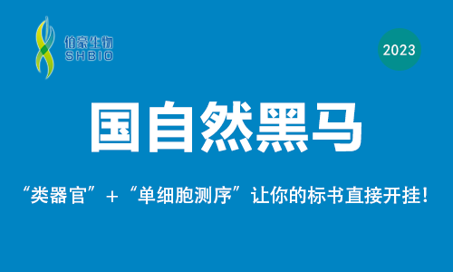 國自然黑馬 |“類器官 + 單細胞測序”讓你的標書直接開掛！