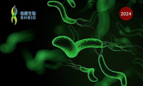 CRISPR 智庫 | CRISPR 關注寵物健康——人畜共患幽門螺桿菌現場快速檢