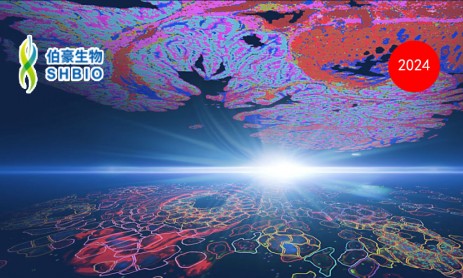 突破空間組學研究極限：Visium HD 與 Xenium In Situ 的完美融合