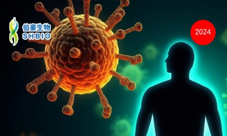 2024 豪享直播 | 時(shí)空組學(xué)技術(shù)在免疫機(jī)制研究中的應(yīng)用