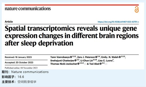 文獻解讀 | 空間轉錄組學揭示睡眠剝奪后不同大腦區域的特異性基因表達變化