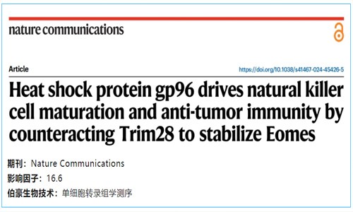 項目文章 | 熱休克蛋白 gp96 通過對抗 Trim28 來穩定 Eomes，從而驅動自然殺傷細胞的成熟和抗腫瘤免疫