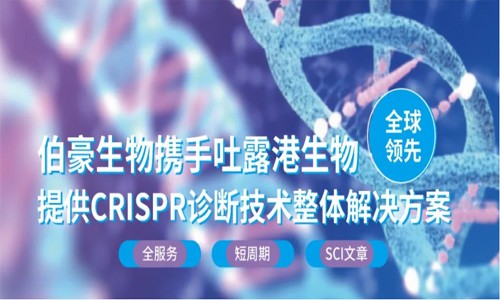 CRISPR 智庫 | 不依賴 PAM 序列，CRISPR-Cas12a 能超特異性靶向 dsDNA 嗎？