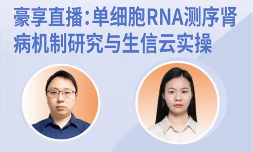 豪享直播 | 單細(xì)胞 RNA 測(cè)序腎病機(jī)制研究與生信云實(shí)操