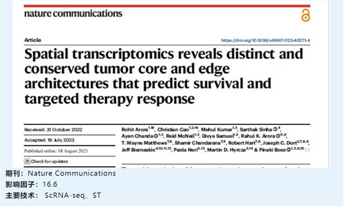文獻解讀 | 空間轉錄組學揭示了獨特和保守的腫瘤核心和邊緣結構，預測生存和靶向治療反應