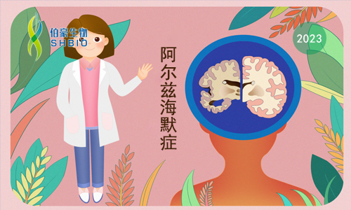 CRISPR 智庫 | CRISPR 介導適配體傳感器如何助力阿爾茨海默病診斷？