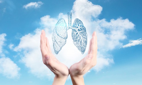 Nat Commun | 基于單細胞和空間轉錄組學分析構建 NSCLC 免疫和非免疫區圖譜