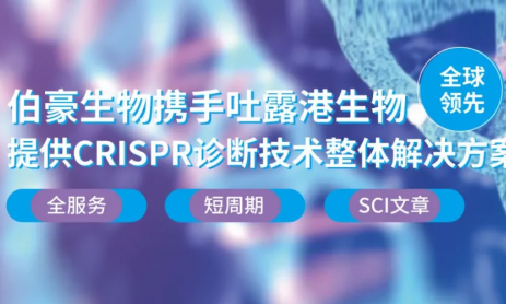 CRISPR 智庫 | 電化學 CRISPR/Cas 生物傳感器：實現無擴增超靈敏耐藥菌檢測