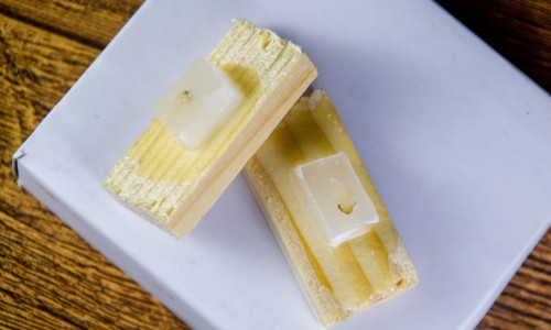 伯豪生物 FFPE 石蠟樣本多組學一站式解決方案