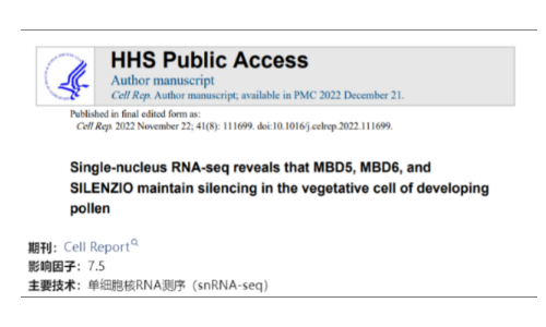 文獻解讀 | 單細胞核 RNA 測序表明 MBD5、MBD6 和 SILENZIO 在發育花粉的營養細胞中沉默基因表達