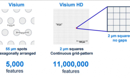 重磅更新！10x Visium HD 空間轉錄組新鮮樣本解決方案正式上線啦！
