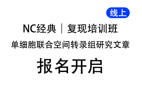 NC 經(jīng)典單細(xì)胞聯(lián)合空間轉(zhuǎn)錄組研究文章復(fù)現(xiàn)培訓(xùn)班，線上開啟！