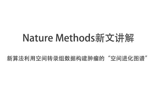 Nature Methods | 新算法利用空間轉錄組數據構建腫瘤的“空間進化圖譜”