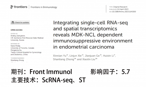文獻解讀 | 整合 scRNA-seq 和 ST 揭示了子宮內膜癌中 MDK-NCL 依賴的免疫抑制環境