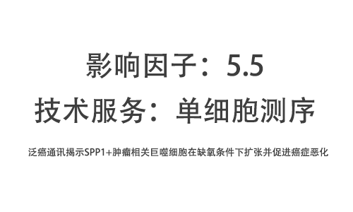 文獻解讀 | 泛癌通訊揭示 SPP1+ 腫瘤相關巨噬細胞在缺氧條件下擴張并促進癌癥惡化
