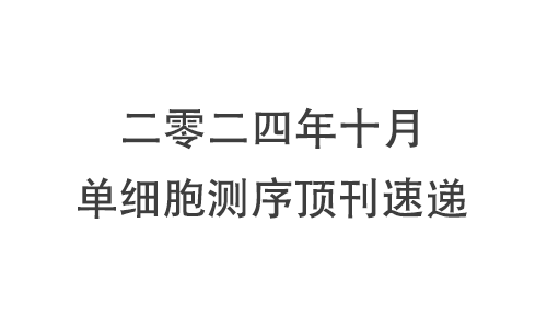 十月高分文獻速遞 |2024 單細胞轉錄組系列