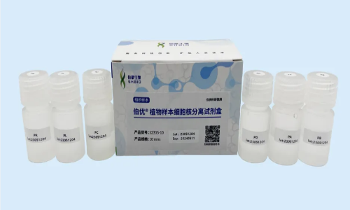 伯豪生物植物單細胞抽核實驗紀實 - 小麥