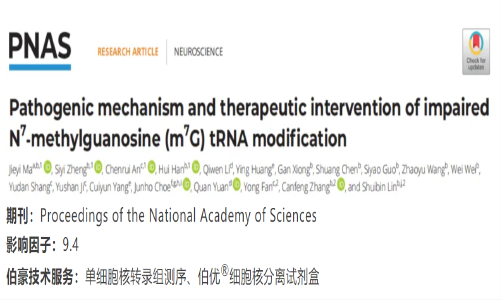 項目文章 | 單細胞核轉錄組測序揭示 N7- 甲基鳥苷酸（m7G）tRNA 修飾減弱的致病機理
