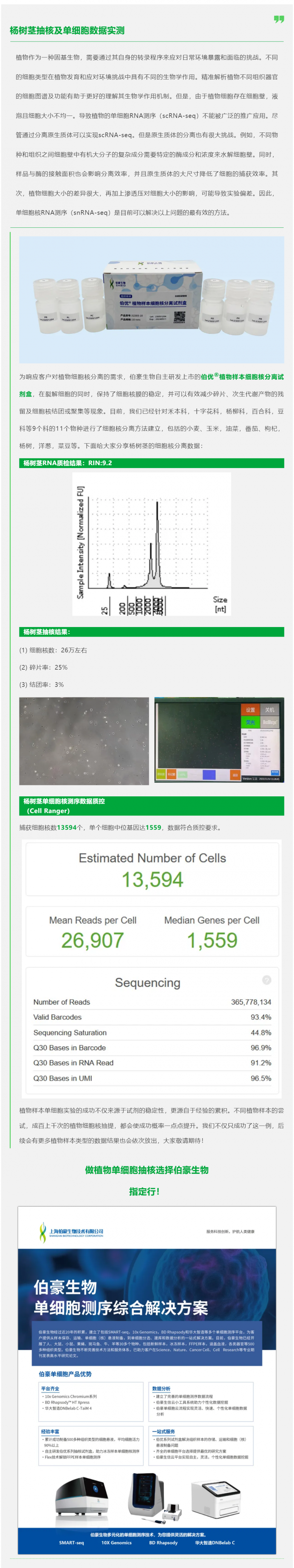 植物抽核哪家強(qiáng)！伯優(yōu)試劑來幫忙！楊樹莖抽核及單細(xì)胞數(shù)據(jù)實(shí)測(cè)