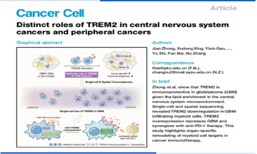 項目文章 |Cancer Cell-TREM2 在中樞神經系統癌癥和外周腫瘤中的獨特作用