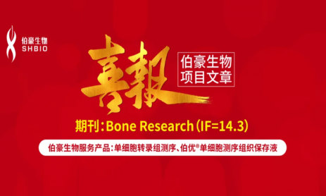 項目文章 | 單細胞轉錄組學揭示 CCN2 在膝關節纖維化中如何調控成纖維細胞與巨噬細胞的相互作用