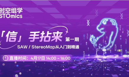 「信」手拈來(lái)第一期，SAW/StereoMap 從入門到精通