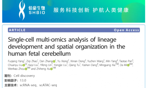華大 DNBelab C 系列 | 單細胞多組學解析人胎兒小腦神經細胞發育和空間結構