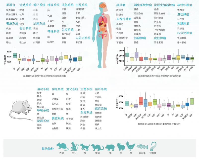 【已↑完】★伯優(yōu)?單細(xì)胞測序組織保存液 - 單頁_01(2)
