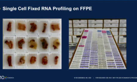 技術突破 | FFPE 樣本產出高質量單細胞數據的秘籍