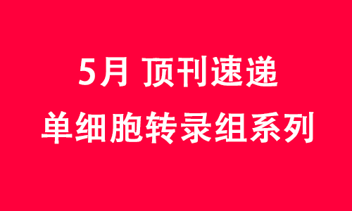 2025 頂刊文獻速遞 | 單細胞轉錄組系列（5 月）