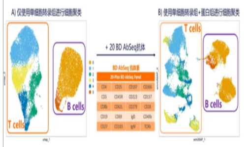 不僅可以攻克細胞亞群注釋難題！單細胞轉錄組聯合膜蛋白測序還可以……（內含福利）
