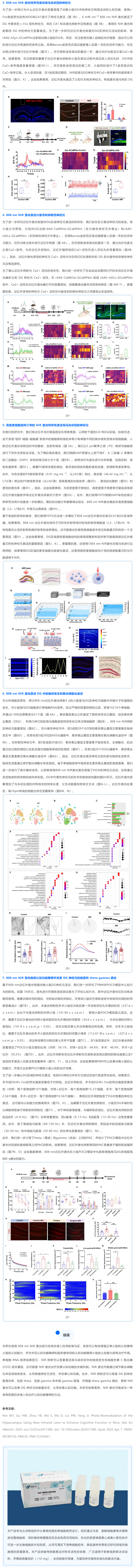 單細(xì)胞項(xiàng)目文章 | 近紅外激光增強(qiáng)小鼠海馬認(rèn)知功能的光生物調(diào)節(jié) 2
