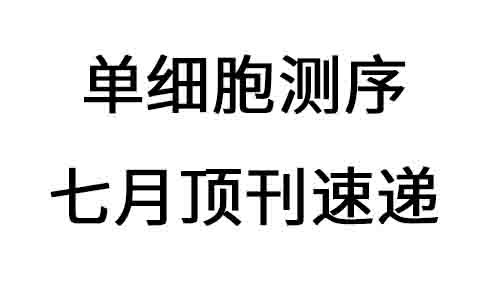 2025 頂刊文獻速遞 | 單細胞轉(zhuǎn)錄組系列（7 月）