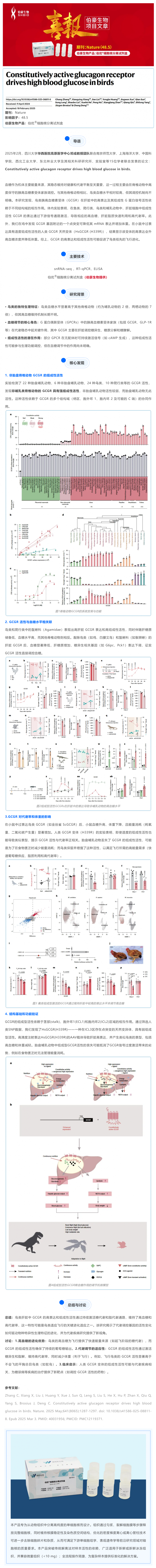 Nature 主刊項(xiàng)目文章 | 組成型活性胰高血糖素受體驅(qū)動(dòng)鳥類高血糖