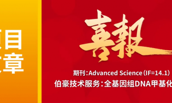 項(xiàng)目文章 | 全基因組 DNA 甲基化測序揭示食品級(jí)納米顆粒通過引發(fā)神經(jīng)元自噬缺陷導(dǎo)致阿爾茨海默病樣癥狀