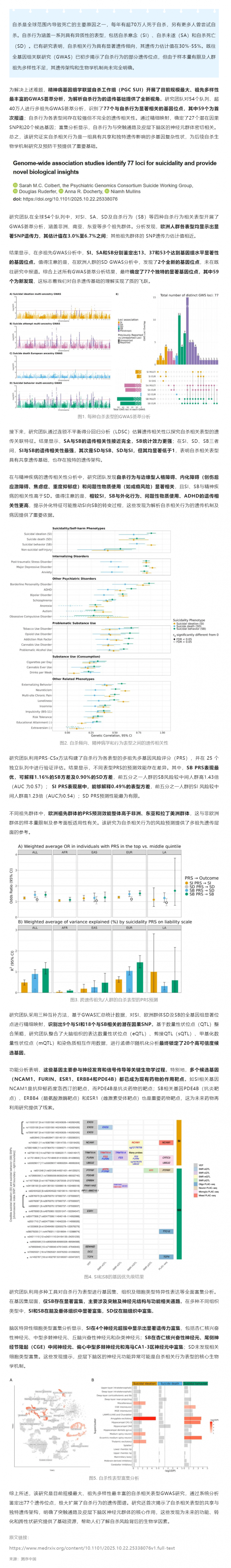 77 個自殺相關遺傳位點被發現！迄今最大規模多祖先 GWAS 揭示自殺行為遺傳基礎及生物學機制