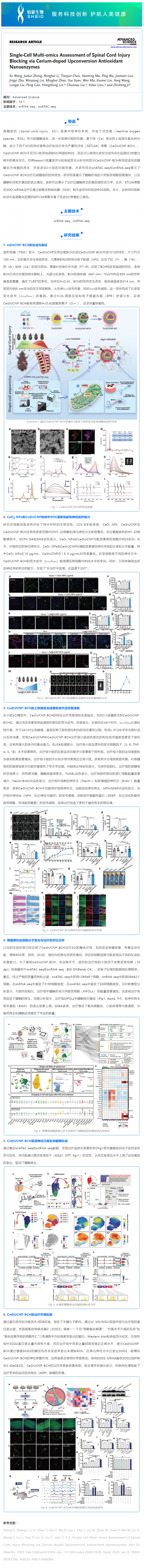 文獻解讀 | 通過鈰摻雜上轉換抗氧化納米酶阻斷脊髓損傷的單細胞多組學評估