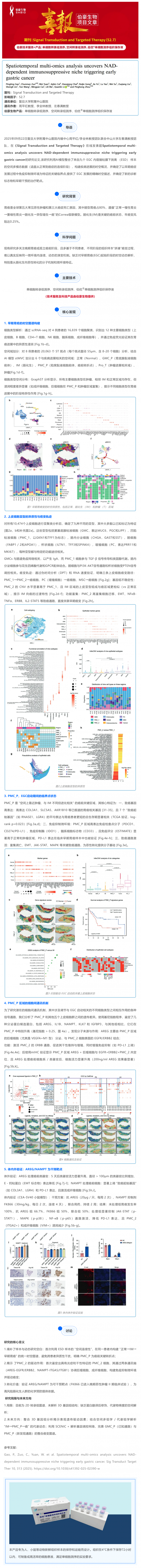 時空組學項目文章 _ 時空多組學揭示 NAD 依賴的免疫抑制微環(huán)境驅(qū)動早期胃癌發(fā)生