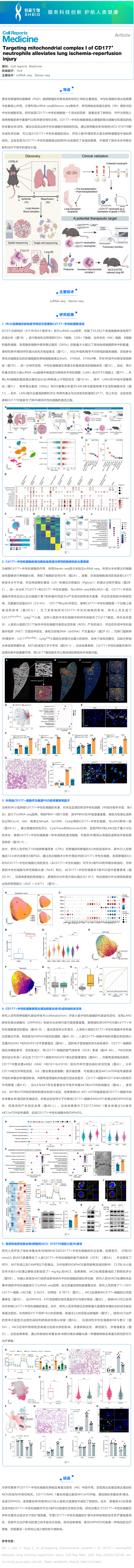 文獻解讀 | 靶向 CD177+ 中性粒細胞的線粒體復合物 I 可緩解肺缺血再灌注損傷