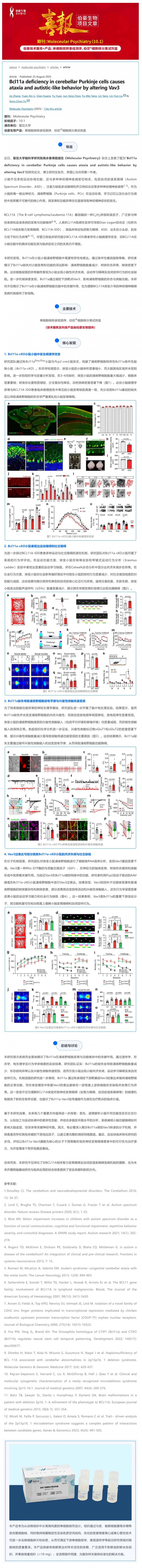 單細(xì)胞核項目文章︱Nature 子刊 - 小腦浦肯野細(xì)胞中 Bcl11a 缺失通過改變 Vav3 導(dǎo)致共濟失調(diào)和自