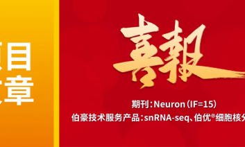單細(xì)胞項(xiàng)目文章 | 分離的乳頭體上核–齒狀回亞回路在健康小鼠與阿爾茨海默病模型小鼠中調(diào)控認(rèn)知與情感功能