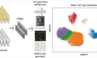 2025 頂刊文獻(xiàn)速遞 | 單細(xì)胞轉(zhuǎn)錄組系列（10 月）